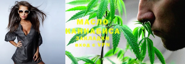 молекула духа Переславль-Залесский