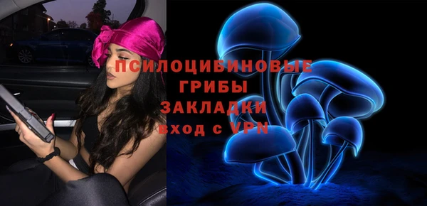 твердый Пересвет