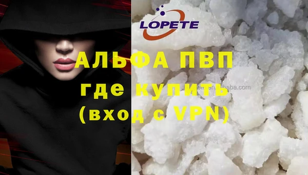 молекула духа Переславль-Залесский
