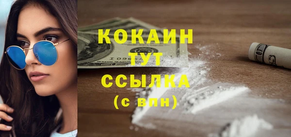 твердый Пересвет