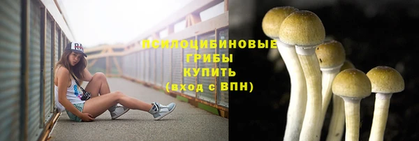 молекула духа Переславль-Залесский
