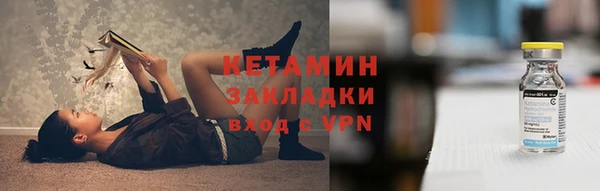 твердый Пересвет