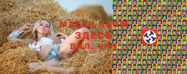 твердый Пересвет