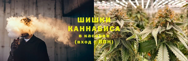 твердый Пересвет